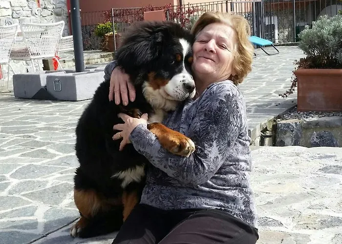 Silvi Piscina Sauna E Hot Tub Bed & Breakfast